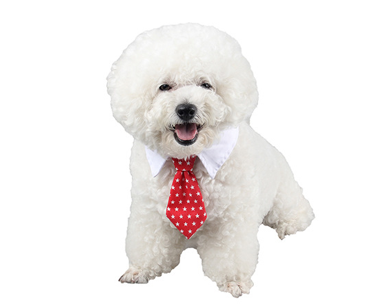 Pet bow tie tie child baby tie cartoon print small tie spot wholesale dog tie