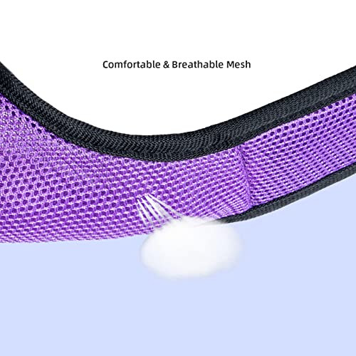 Niteangel Adjustable Soft Harness with Elastic Leash for Rabbits (L, Blue)
