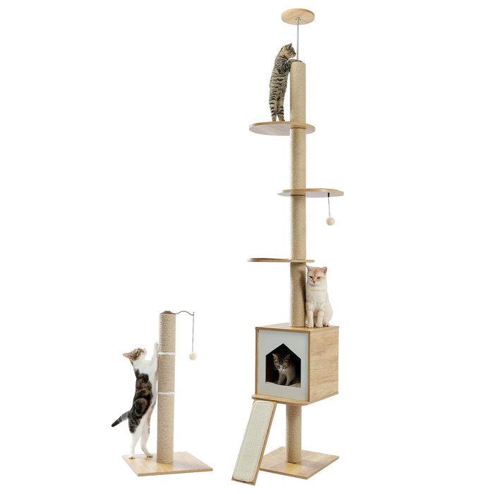 Modern Cat Climbing Tower