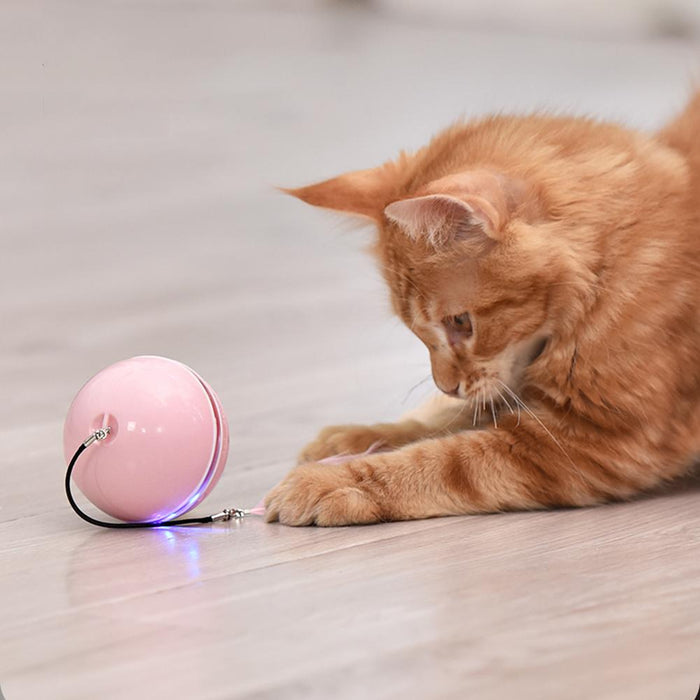 Smart Interactive Cat Toy