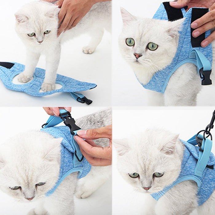Proof Cat Harness