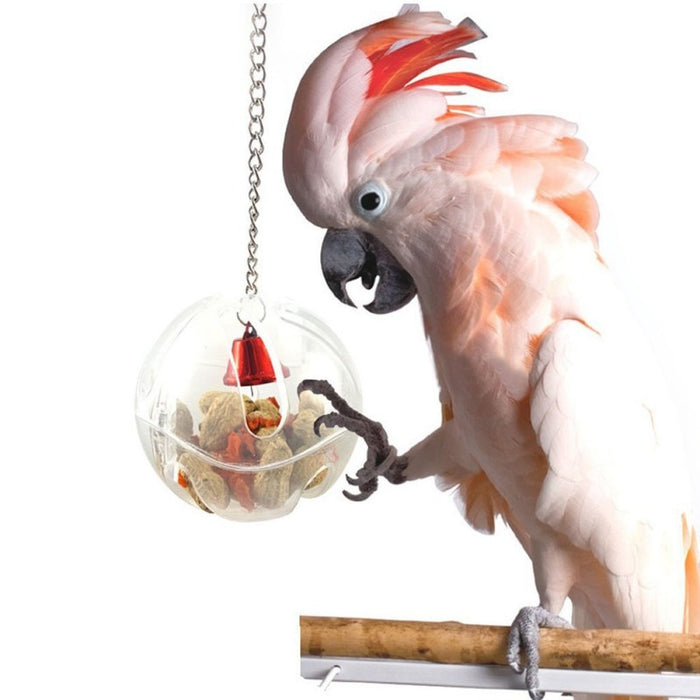 Parrots Bird Toy