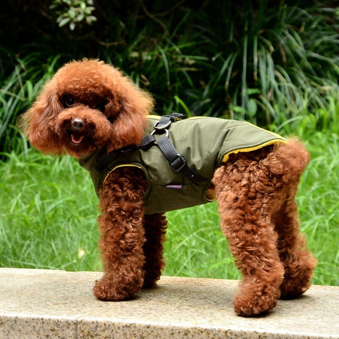 Winter Dog Jacket With Harness