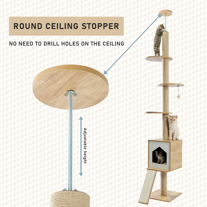 Modern Cat Climbing Tower