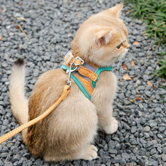 Cat Harness Leash Set