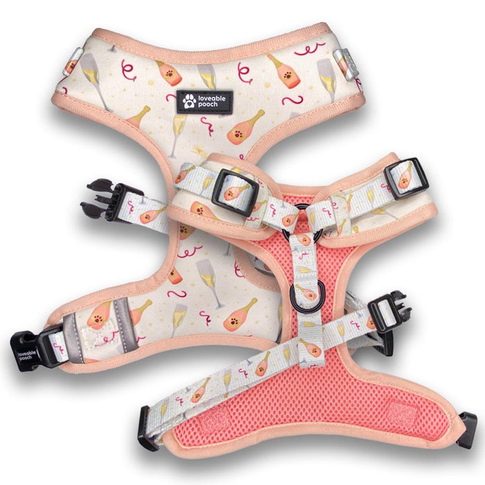 Harness and Leash set