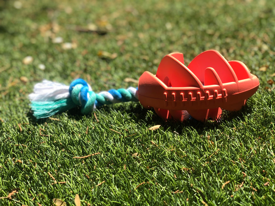 Football Chew Toy with Tug Rope