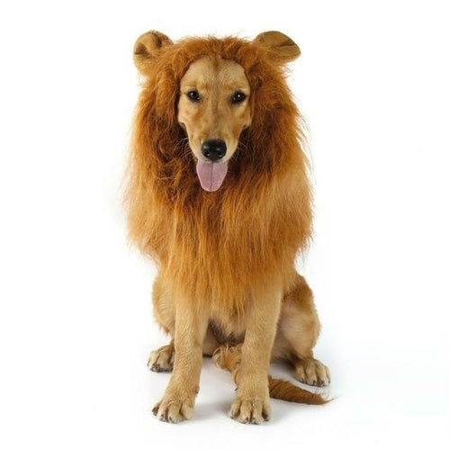 Lion Wig