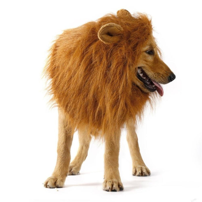 Lion Wig